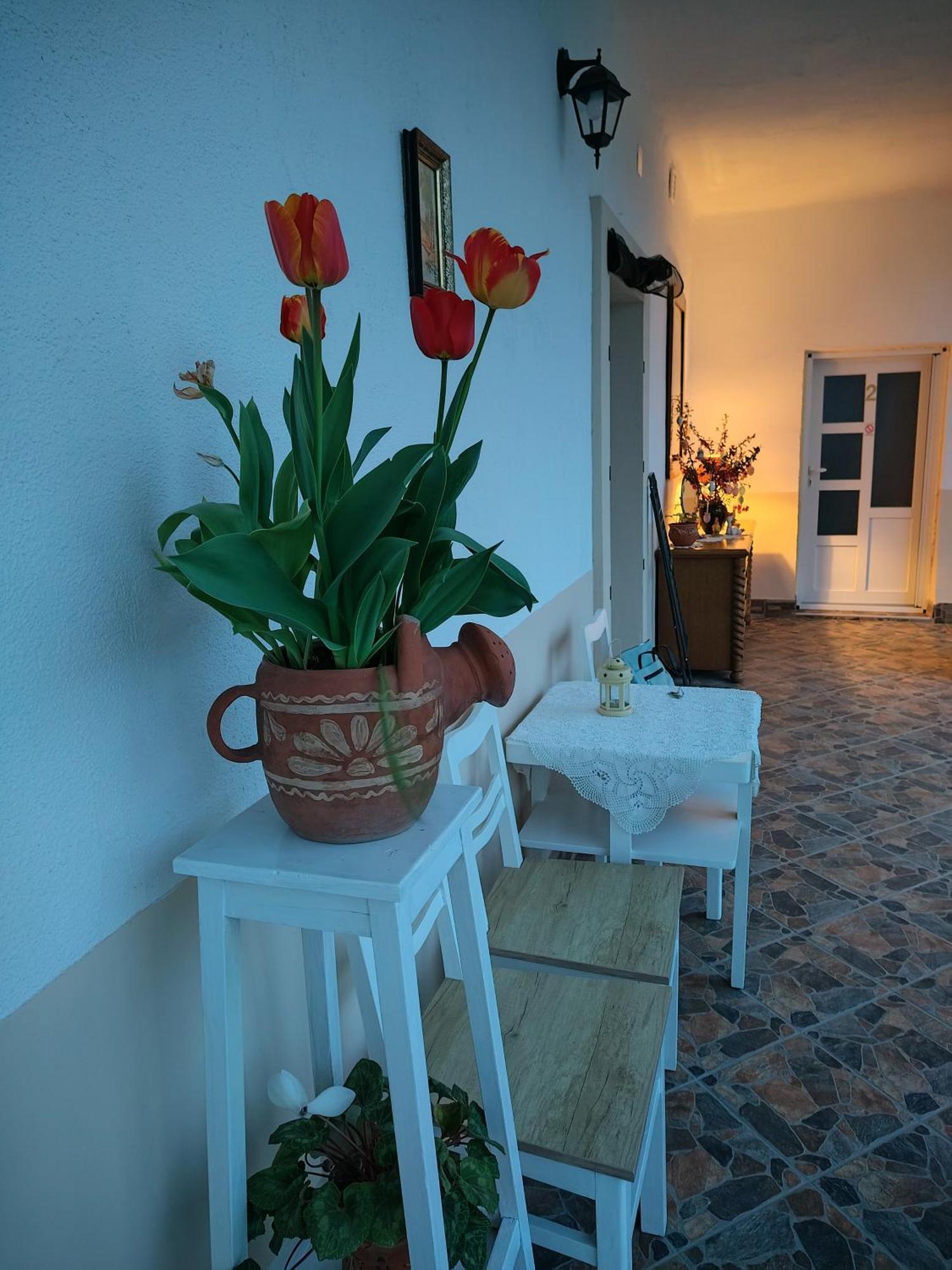 Apartman Katarina Backi Monostor ภายนอก รูปภาพ